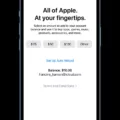 How to Check Apple Gift Card Balance 11