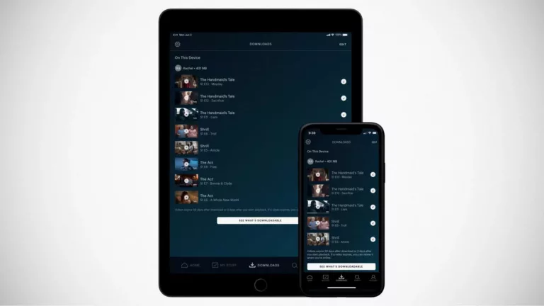 How To Download Hulu Content 7