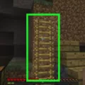 20 Minecraft Tips - Ladders 7