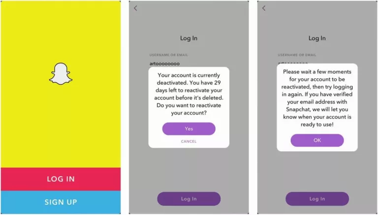 How To Reactivate Snapchat 3