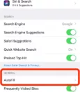 How To Change Autofill On iPhone 5