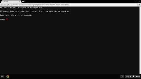 How To Open Crosh on Your Chrome 9