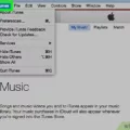 How To Update Itunes 5