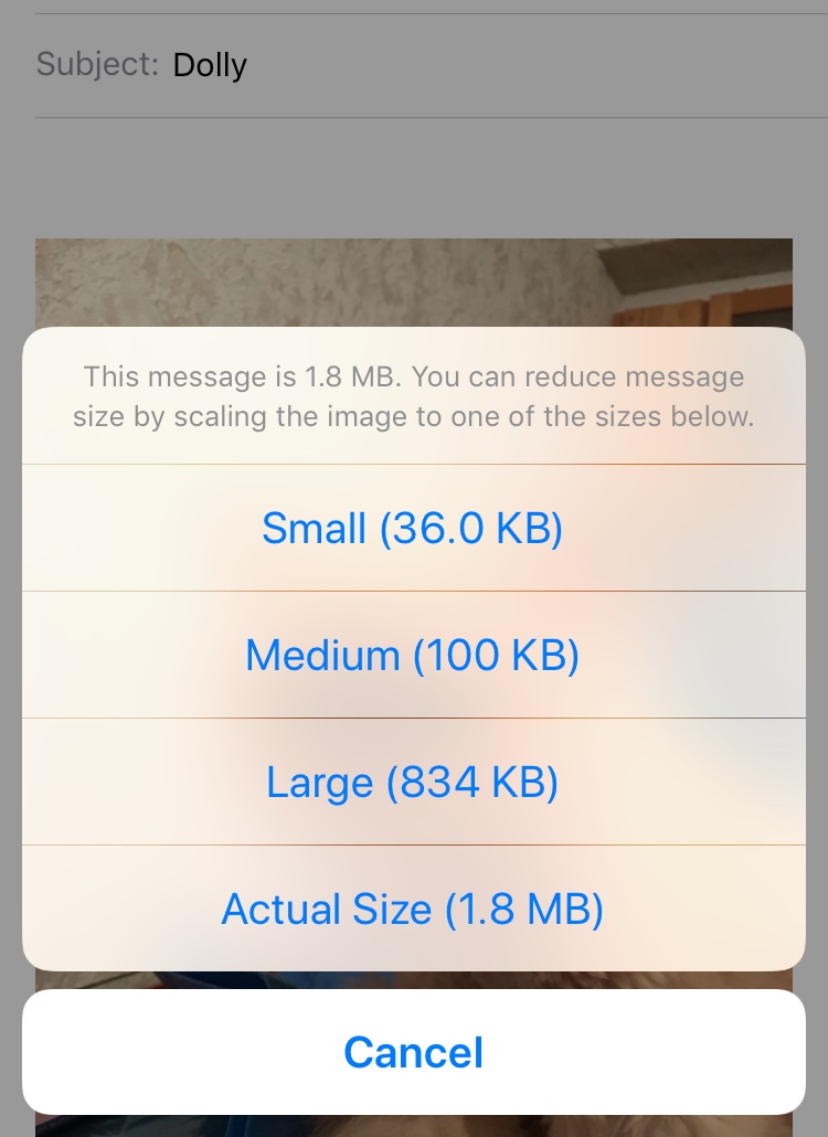 How to Reduce Photo Size on iPhone 1