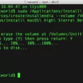How to Write Code on Mac Terminal 3