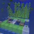 31 Facts About Minecraft - Kelp 4