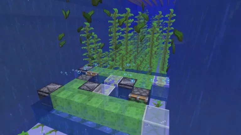 31 Facts About Minecraft - Kelp 3