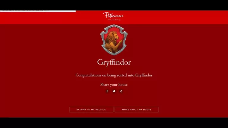 The Pottermore House Quiz - What Hogwarts House Do You Belong In? 9