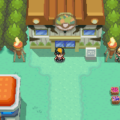 A Guide to Safari Zone HeartGold's Most Exciting Adventure 12