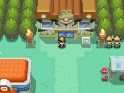 A Guide to Safari Zone HeartGold's Most Exciting Adventure 2 A Guide to Safari Zone HeartGold's Most Exciting Adventure 1