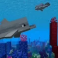 31 Facts About Minecraft - Dolphins 10