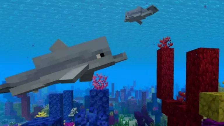 31 Facts About Minecraft - Dolphins 13