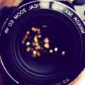 Close Camera: A Guide to Capturing Intimate Shots! 16