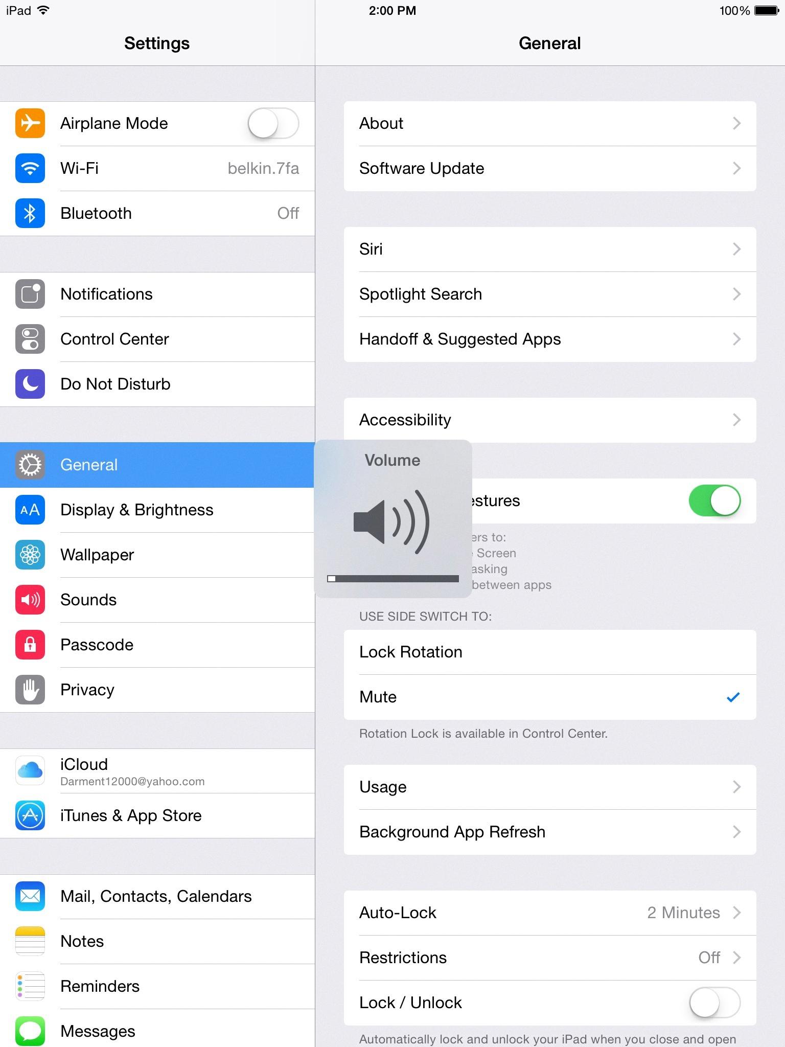 how to mute ipad