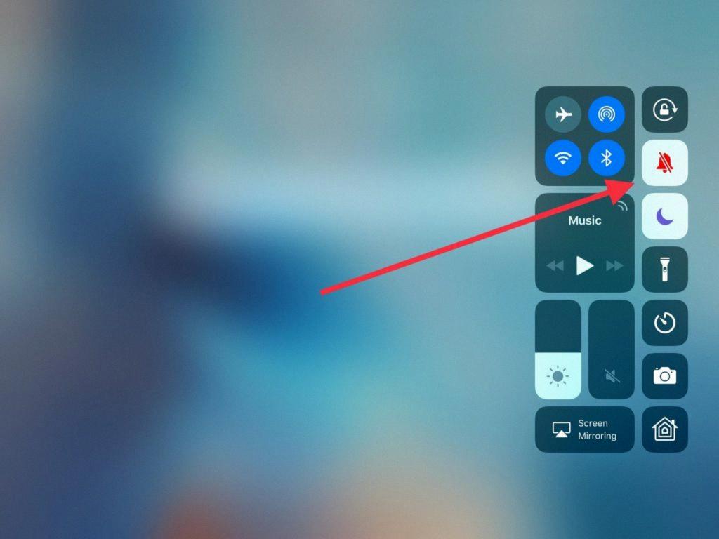 how to mute ipad
