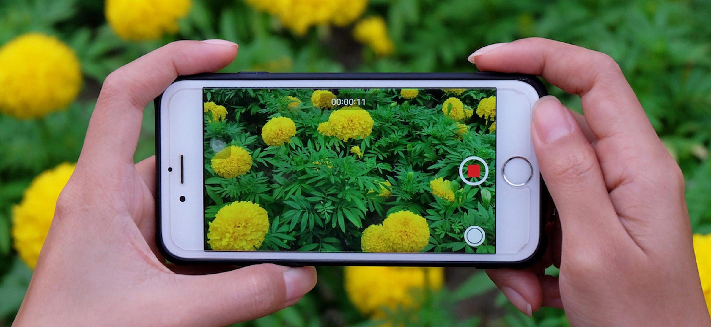 How to Remove Sound From Your iPhone Video - DeviceMAG