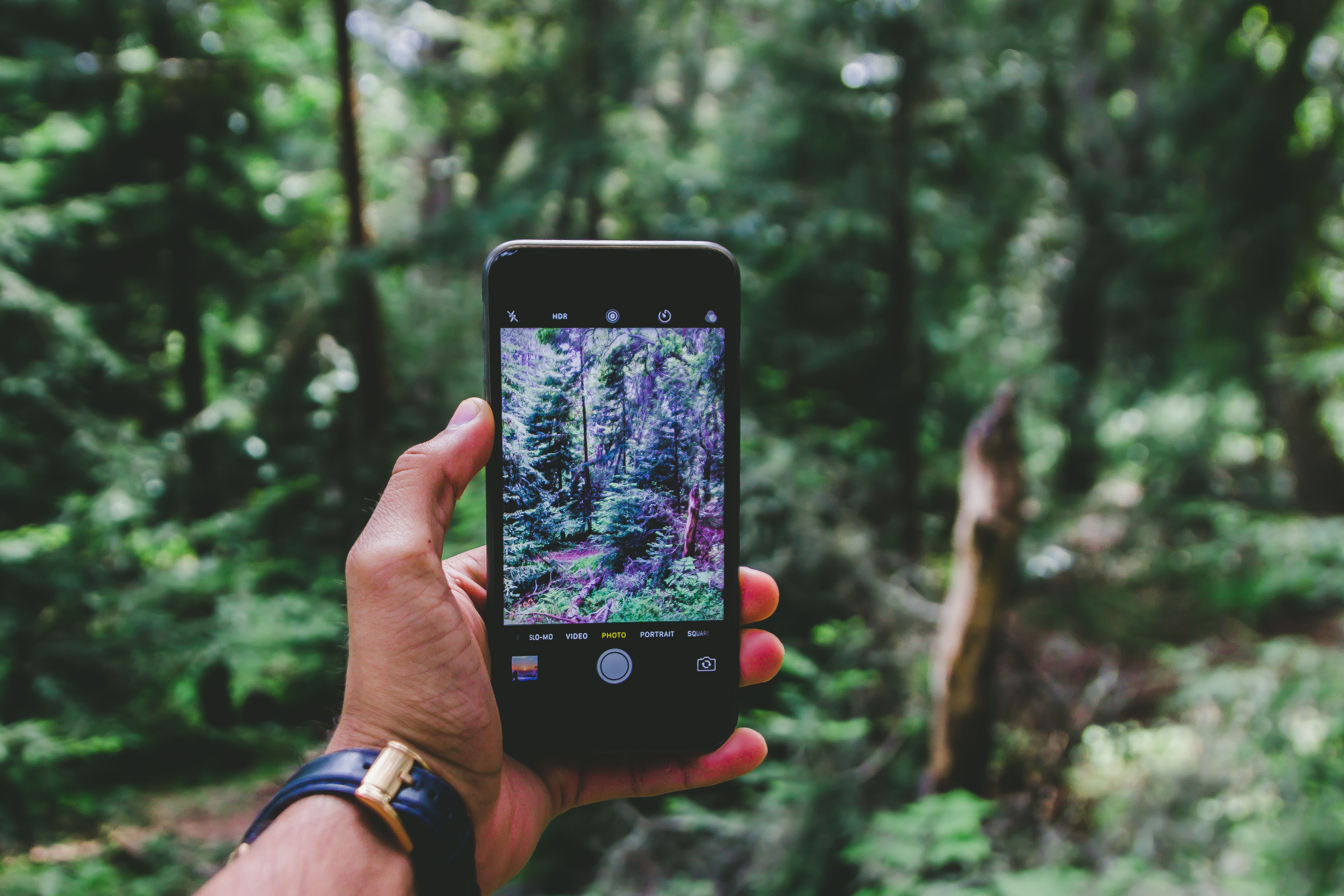 How To Stop iPhone Screen From Turning Off ? 12