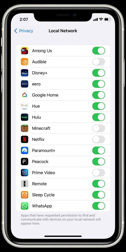 local network access iphone