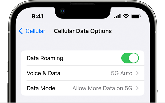 How to Monitor and Manage Your Data Usage 2 How to Monitor and Manage Your Data Usage 1