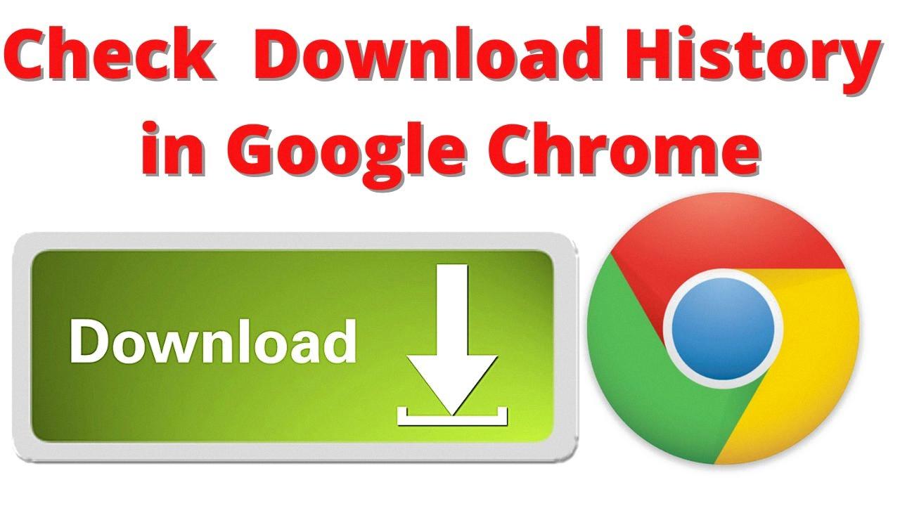 my downloads history
