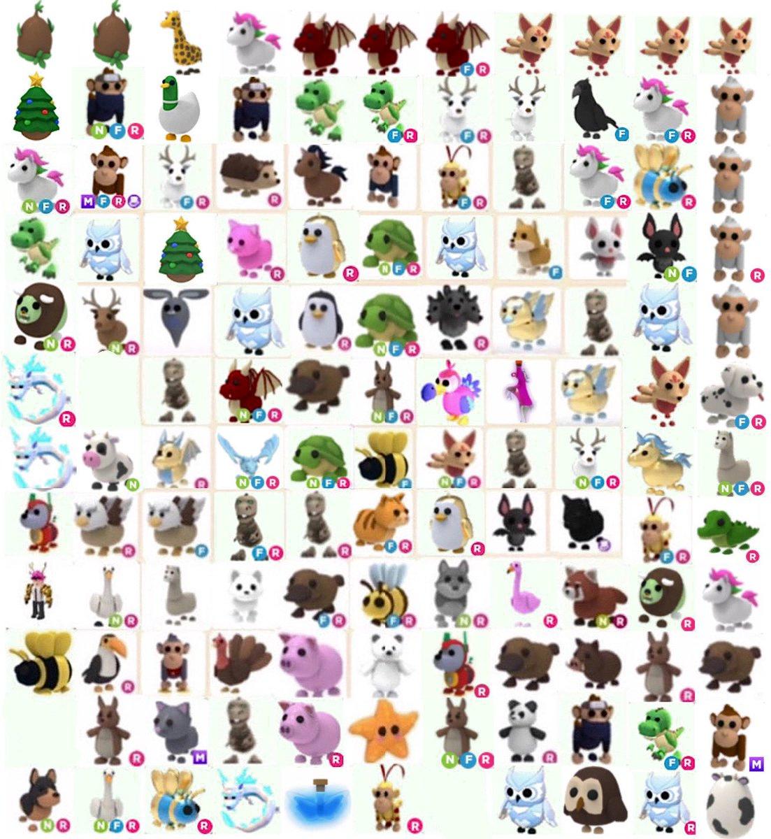 What Pets Are From The Jungle Egg At Rosa Williams Blog