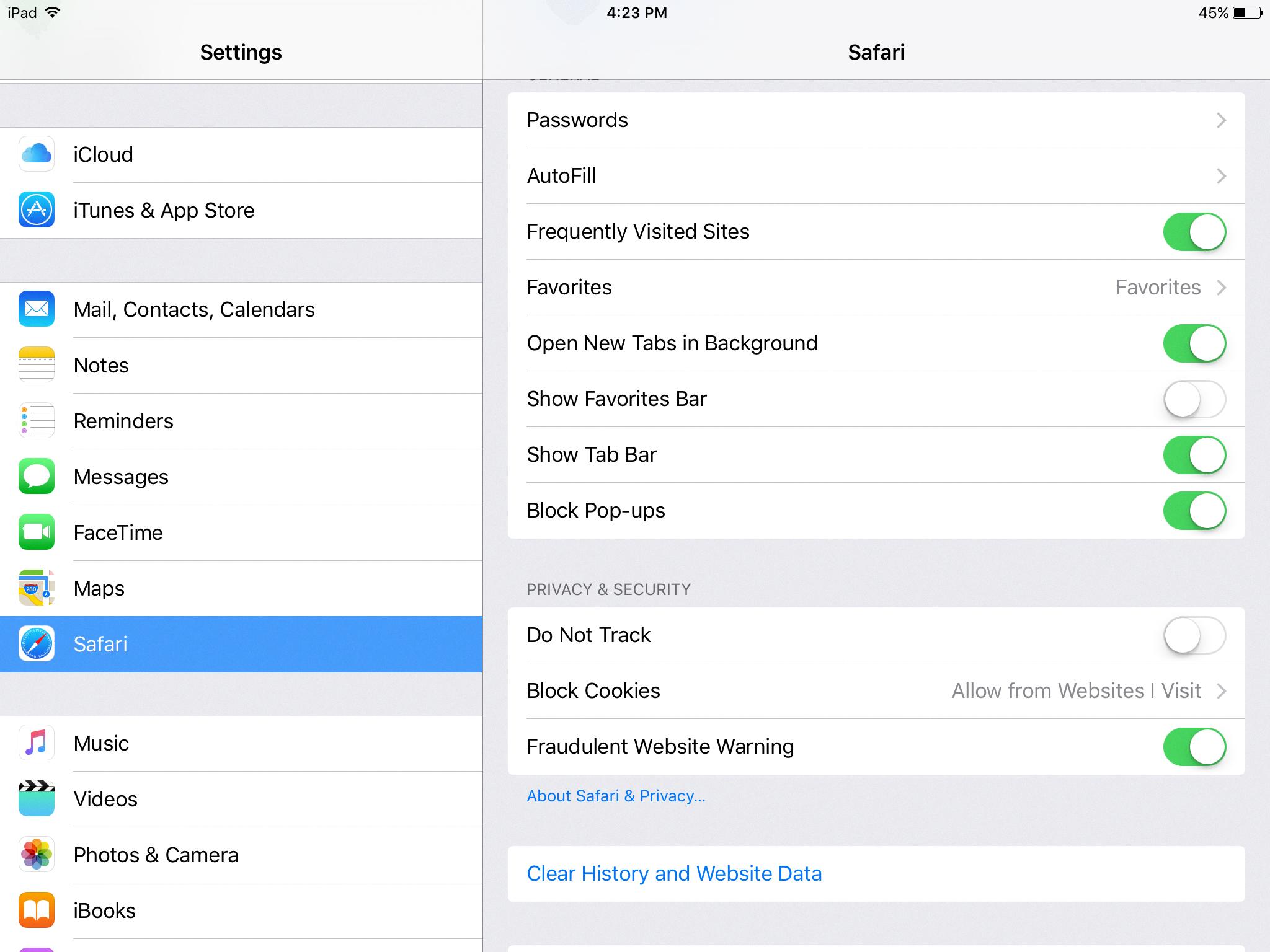 safari video settings ipad