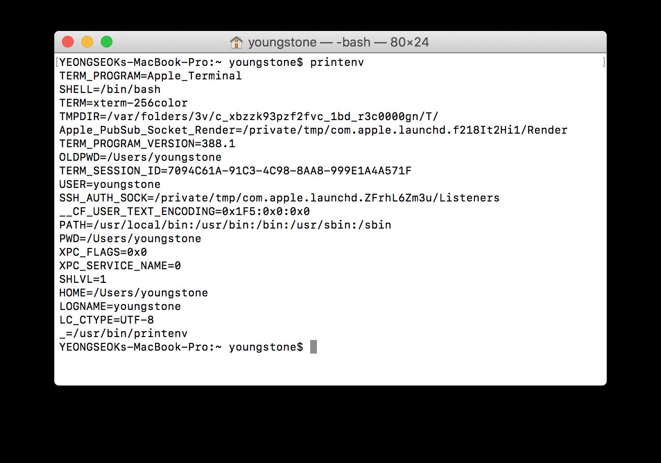 set environment variable mac