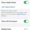 Unleash the Power of Apple Music with the Sync Library Feature 17