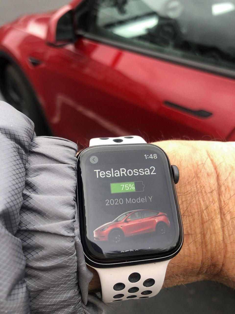 tesla apple watch