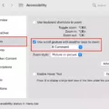How to Zoom Out on Mac 7