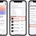 How To View Apple Card Statement 3