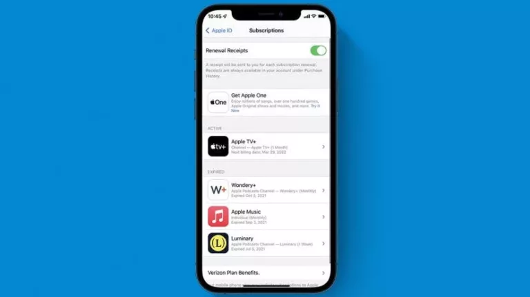 How to Clear Your Subscription History on iPhone 15