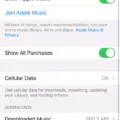 How to Connect Your Bass to Your iPhone 15