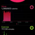 How to Delete Workouts from the Apple Watch Activity App 11