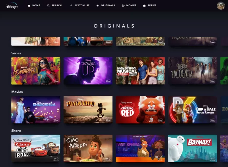 How to Run Disney+ on Your Device with Minimal Impact on Its Memory Usage 19