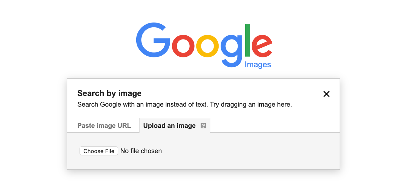 Changes Made By Google to Its Image Search Feature 2 Changes Made By Google to Its Image Search Feature 1