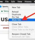 How To Mute Site On Mac 1