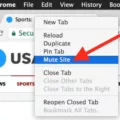 How To Mute Site On Mac 17