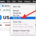 How To Mute Site On Mac 11