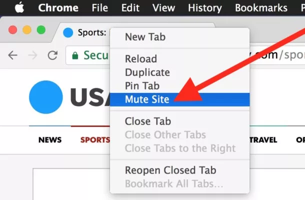 How To Mute Site On Mac 1
