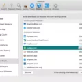 How To Unblock Websites In Safari 13