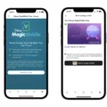 How to Add Your Disney Magic Pass to Your Apple Wallet 17