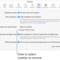 How to Customize Your Browser Cookies 9
