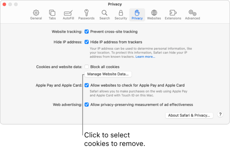 How to Customize Your Browser Cookies 9