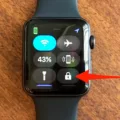 How to Lock Your Apple Watch Face 9