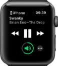 How to Play Music on Your Apple Watch Without Headphones 11