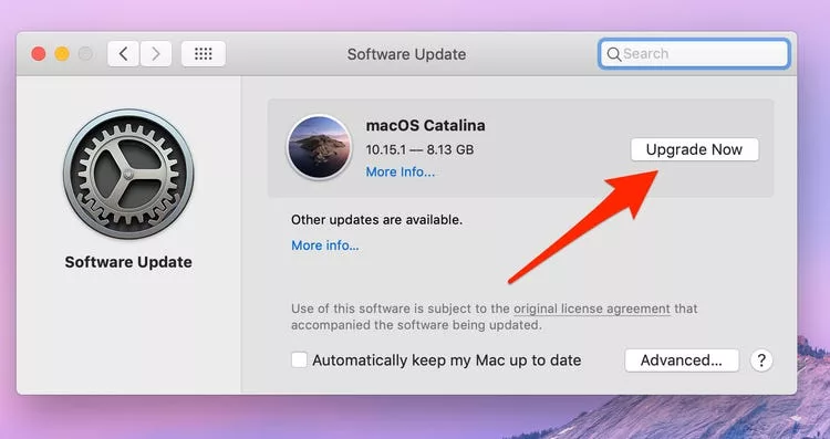 How Long Does Safari Take To Update 19