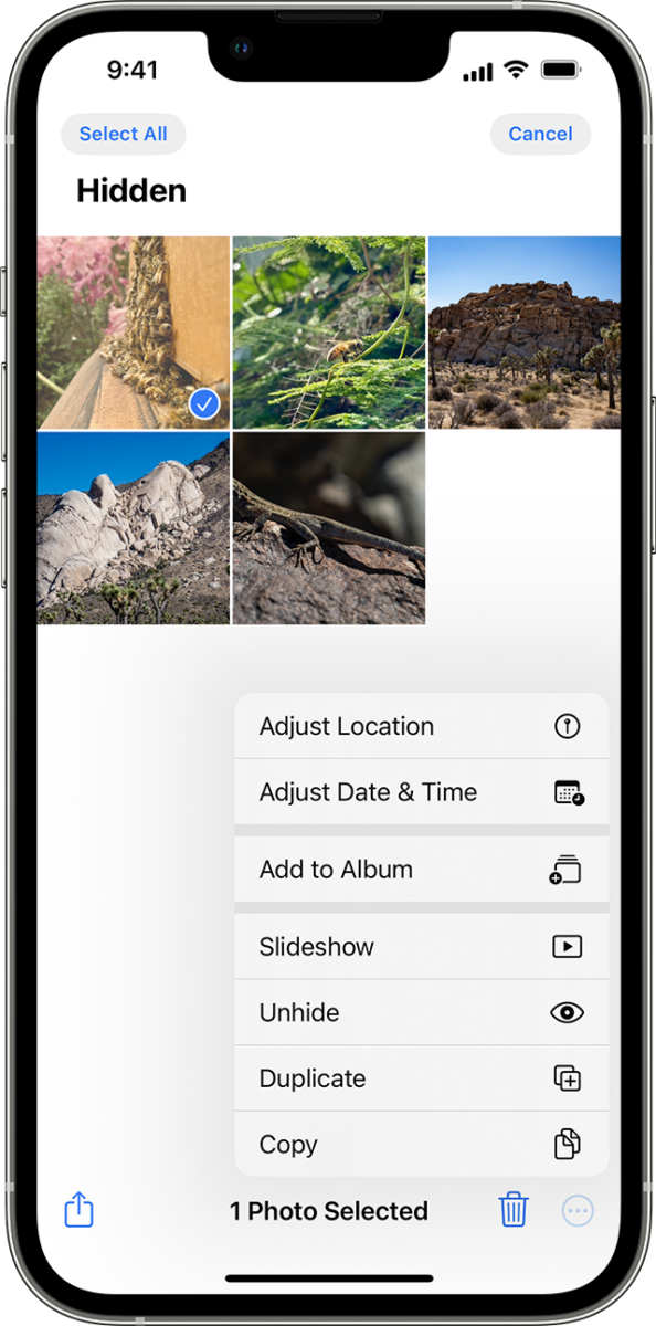 How to Transfer Hidden Photos to Your New iPhone 2 How to Transfer Hidden Photos to Your New iPhone 1