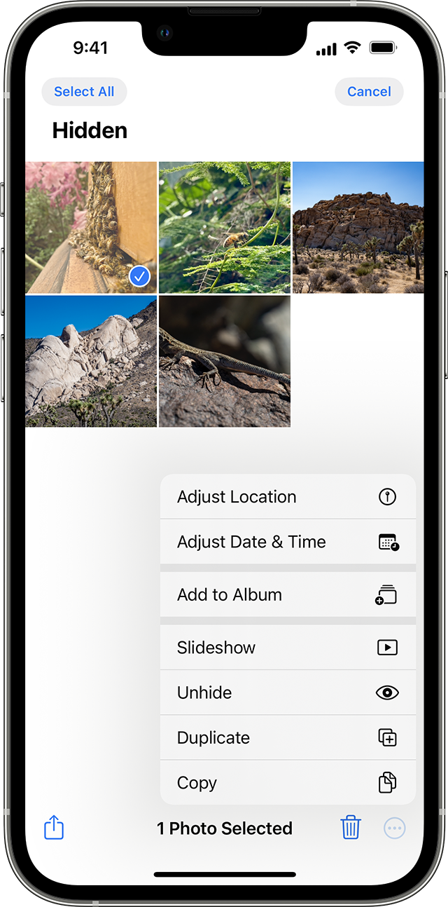How to Transfer Hidden Photos to Your New iPhone 1