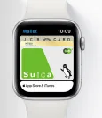 The Ultimate Guide to Using Suica With Your Apple Watch 5